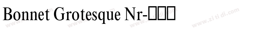 Bonnet Grotesque Nr字体转换